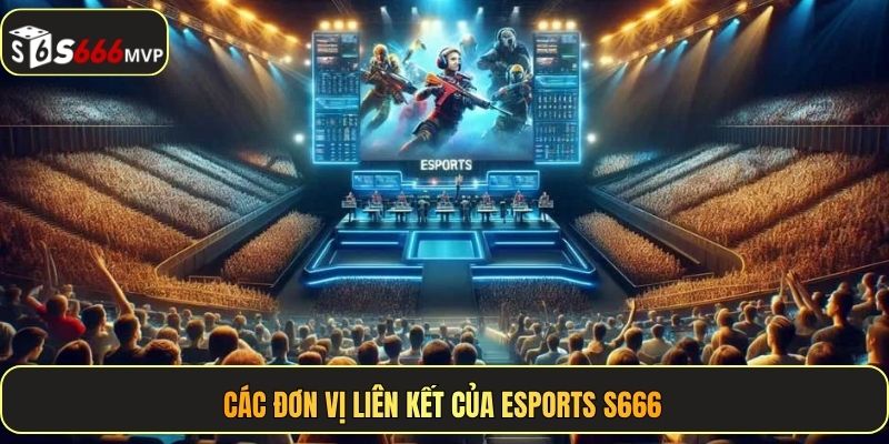 Các đơn vị liên kết của Esports S666